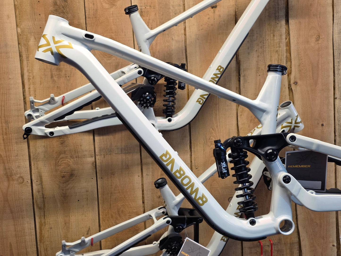 Moab 29 170mm Super Enduro Frame inc. Fox DHX Coil