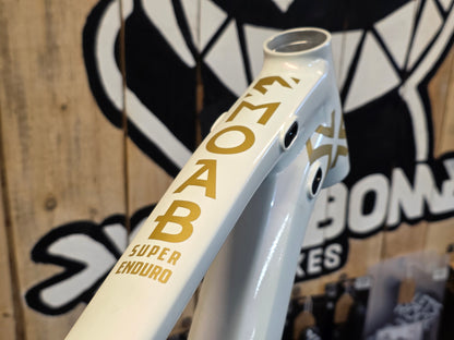 Moab 29 170mm Super Enduro Frame inc. Fox DHX Coil