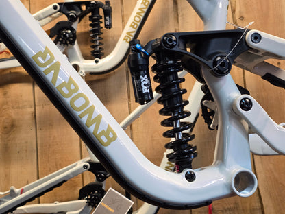 Moab 29 170mm Super Enduro Frame inc. Fox DHX Coil